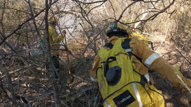 Brigadistas extinguieron un incendio forestal en el departamento Ojo de Agua
