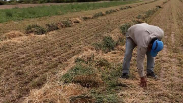 Massa anunció ayuda fiscal y créditos para productores afectados por la sequía